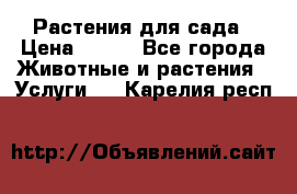 Растения для сада › Цена ­ 200 - Все города Животные и растения » Услуги   . Карелия респ.